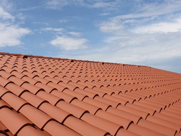 Nosilna konstrukcija za korec